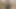 Amazonギフト証明書