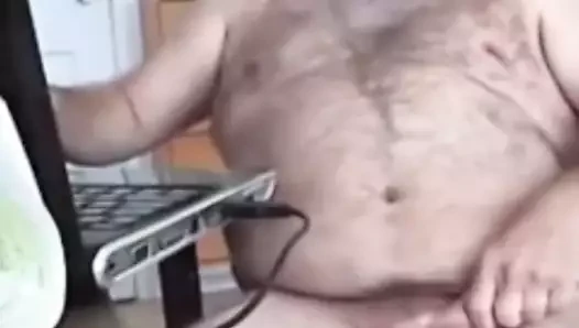 Büyük ayı