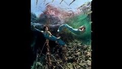 Hitam--janda slideshow-seni bawah air anatoly beloshchin