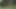 german farm