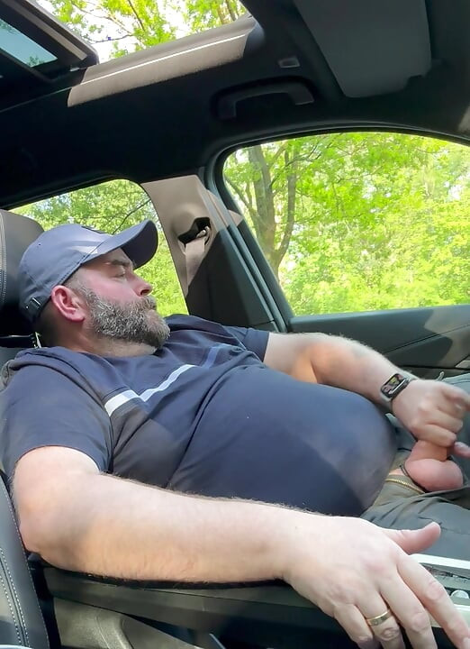 Bär wurde fast im auto erwischt