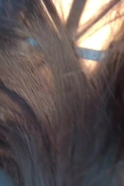 Outdoor Sex in the Car a Rich Anal Creampie!