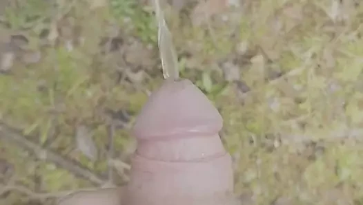 Güzel sidik