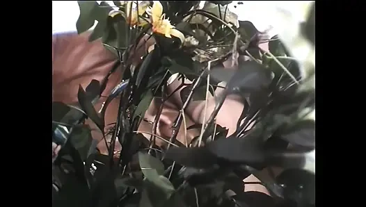 Several Duos Fucking Well Horny