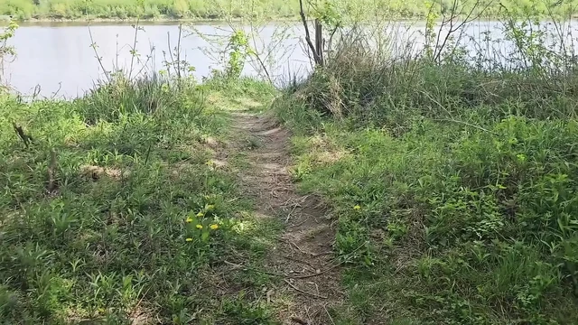 Forest Cruising Turns Into a Triple Blow & Cum Party