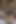 BBC Horny Lady Love My Big Dick