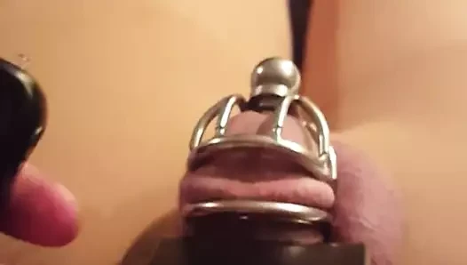 benim kafesli horoz için şok ceza