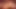 ホットなフリークたちがお互いにイッキするまで膣を舐める