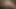 Memek sempit cewek ini dientot habis-habisan sama kontol raksasa sampai memeknya menganga lebar dan dicrot di dalam
