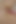 Masseur Brought Wife to a Shaking Orgasm