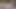الملاك الآسيوي 26489