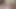 الملاك الآسيوي 25401