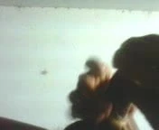 pennis sex