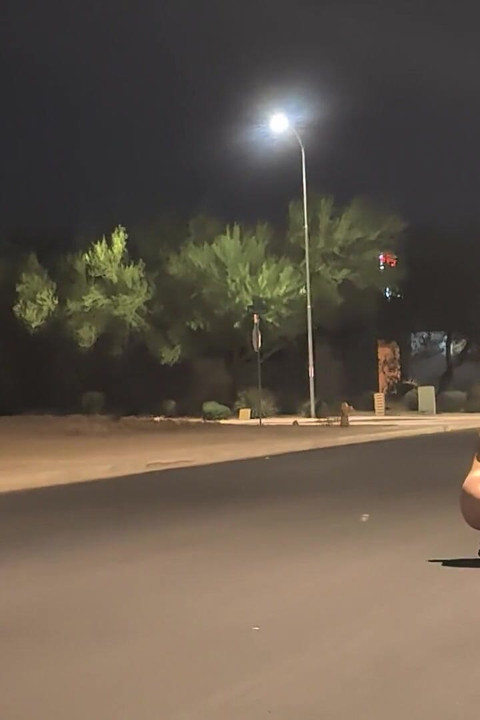 Under the Street Lights