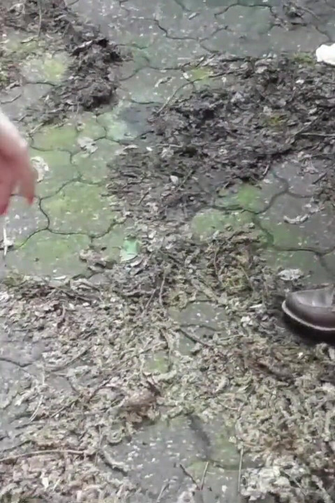 เย็ดหมู่สามคนกับ Alexa Gold ในสวน