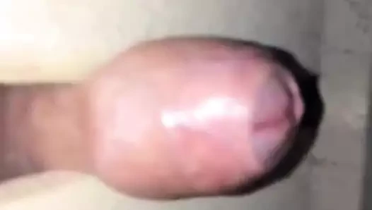 Lanet olası bir nakliye paleti