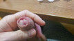 Pratinjau video
