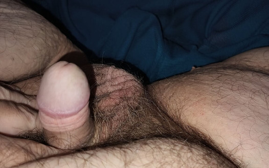 Pregled videozapisa