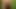 jackmeoffnow curved small low hanging dick erection big head