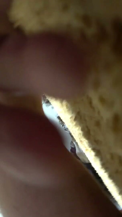 Afternoon MMF Amateur Homemade Threesome | Clip 2