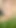 Beautiful Anal Masturbation in Nature, to the Singing of Crickets.