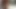 pisse immer aufs sofa tag und nacht