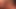 Masturbating Hairy Husband handjob Webcam