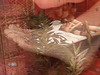 Pregled videozapisa