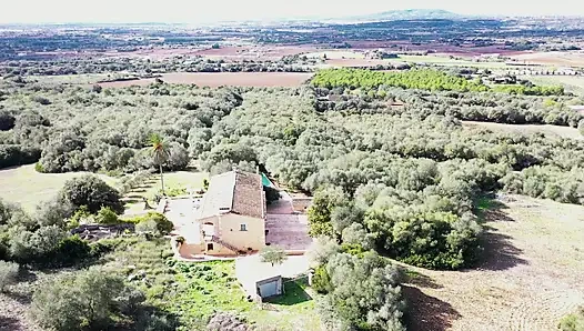 Two Hot Girls Let Themselves Be Pampered Outdoors