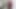 İskoç Rose Skies First Bg