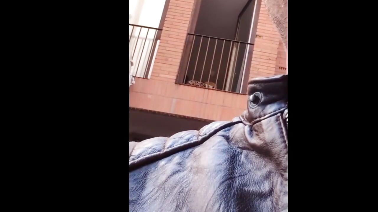 Compilation de nudité publique - livraison de pizzas, seins nus sur la plage, ami taquin