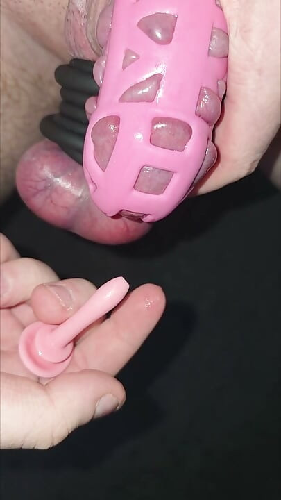 Accidentaly inserting my penis plug all the way into my cock while wearing a pink cock cage and many cock rings around my balls.