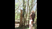 Pregled videozapisa