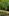 Maidstonenakedman chodzi nago w lesie Bluebell Hill.
