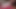 Christmas Anal Fun 2023