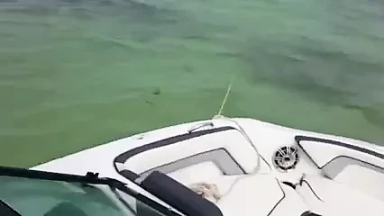fucking wife on the boat