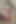 BBC Bimbo Gagging