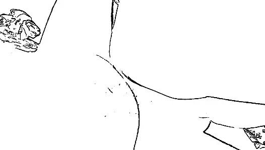 Desi tante sexy tante, dicker arsch Tante kolkata, tante, lokale tante, muschi, tante, große tante, hardcore