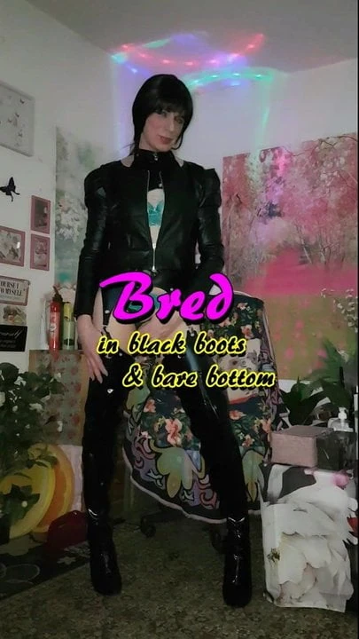 Bred B&B