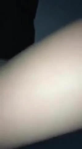 Ma chienne de panam