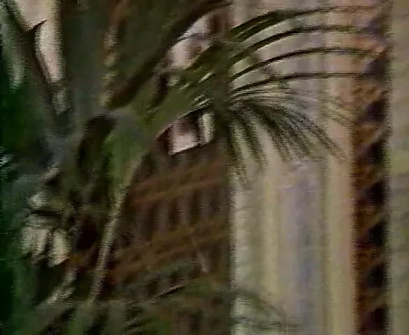 vintage - italy ponr part 3