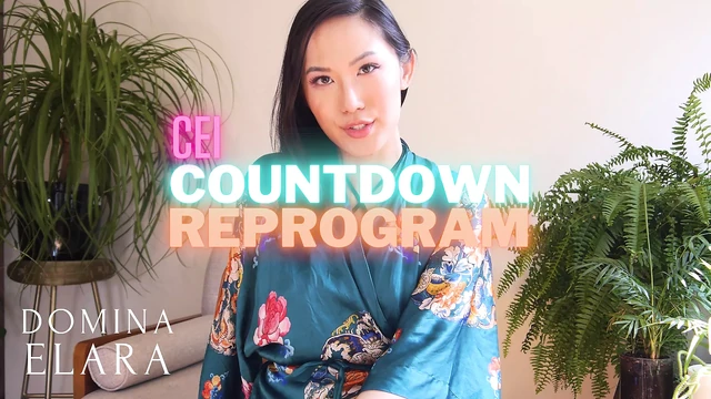 CEI Countdown Reprogram