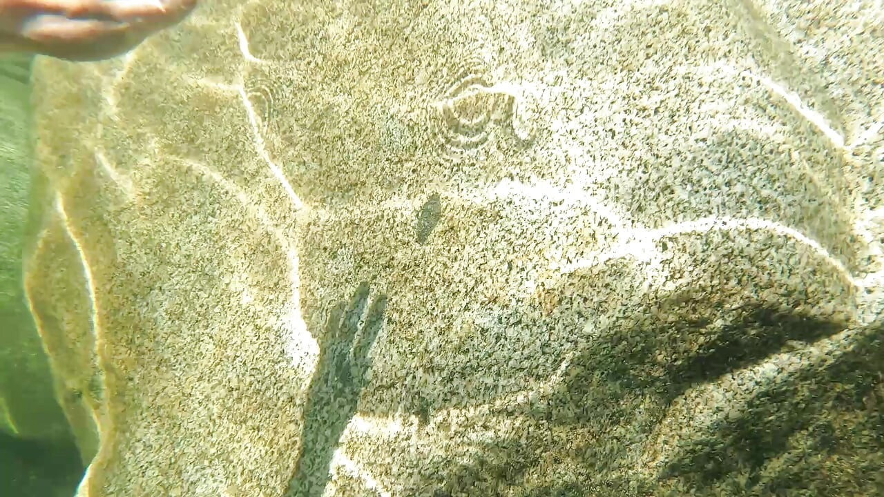 Fodendo Na Praia De Nudismo