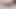 الملاك الآسيوي 26171