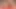 Whore In Red Veiled Stockings Begged Me To Fuck Him