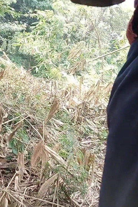 Saat Berkeliaran Di Lapangan, Dia Mulai Memukul Gagangnya