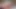 Lavender Rayne and Angel Lynn fuck the double dildo