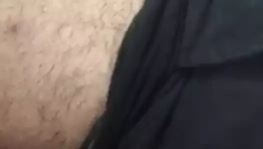 Urso