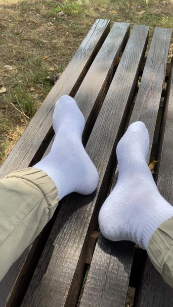 Biały sox