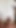 Zengin azgın hamile üvey kız kardeşimin gavat erkek arkadaşı için fotoğraf çektiğini görüyorum, kimseye söylememem için ona lezzetli bir anal seks yaptırıyorum. | Klip 1